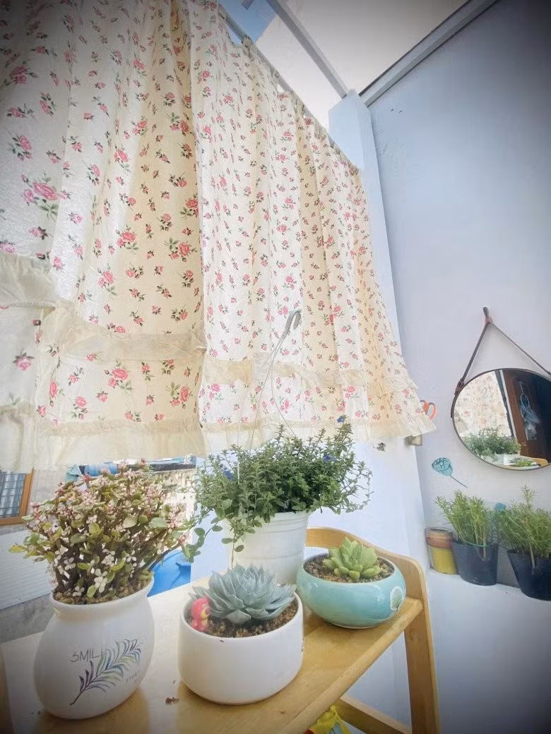 Những chậu cây nhỏ xinh không chỉ mang lại vẻ đẹp thẩm mỹ mà còn giúp cải thiện chất lượng không khí, tạo không gian sống trong lành.