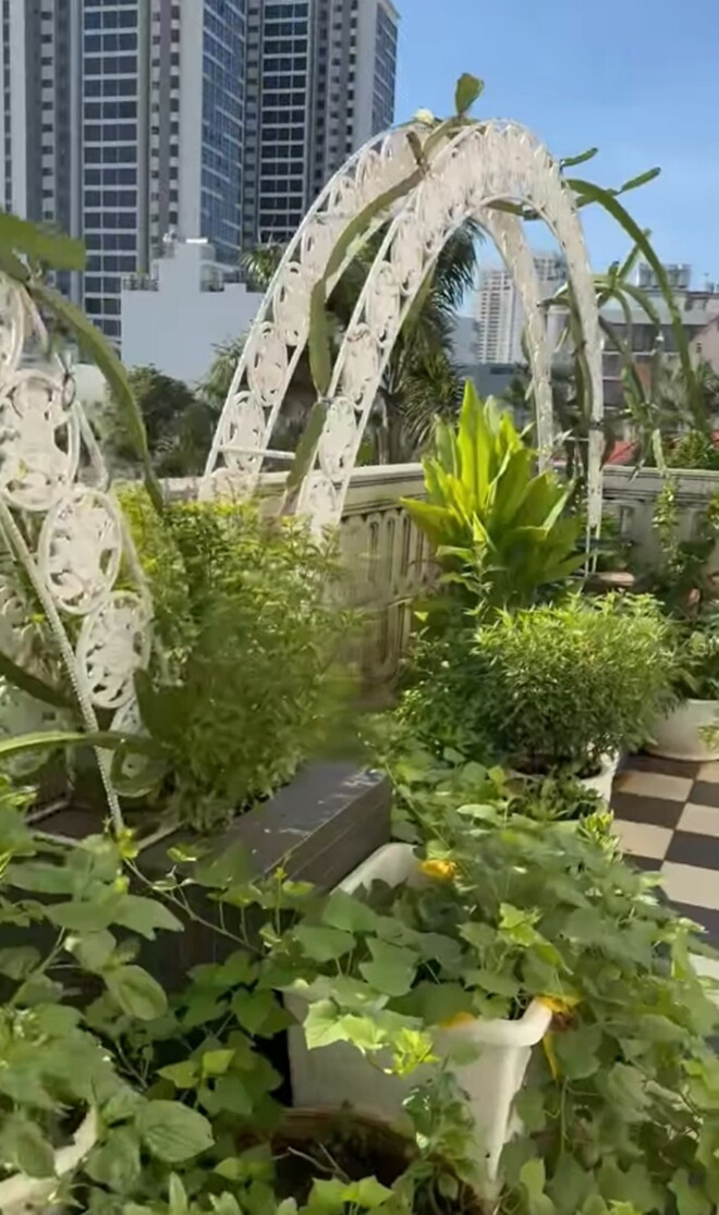 Người đẹp cho biết, chỉ không ra vài ngày thôi là khu vườn um tùm. Ảnh: FB Giang My Nguyen