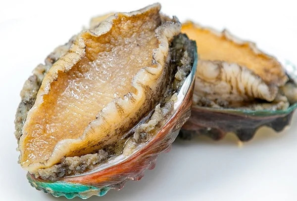 Từ xưa đến nay, bào ngư được mệnh danh là món ăn dành cho nhà giàu, thường xuyên xuất hiện trên bàn ăn của giới quý tộc. Trước đây, bào ngư tươi sống giá lên tới hàng triệu đồng, bào ngư khô giá hàng chục triệu đồng.