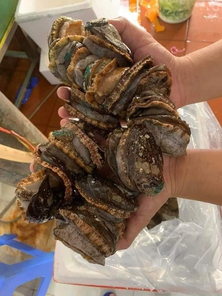 Theo chị Loan, bào ngư giá rẻ này vẫn còn sống, ăn giòn, khoảng 30 con/kg.