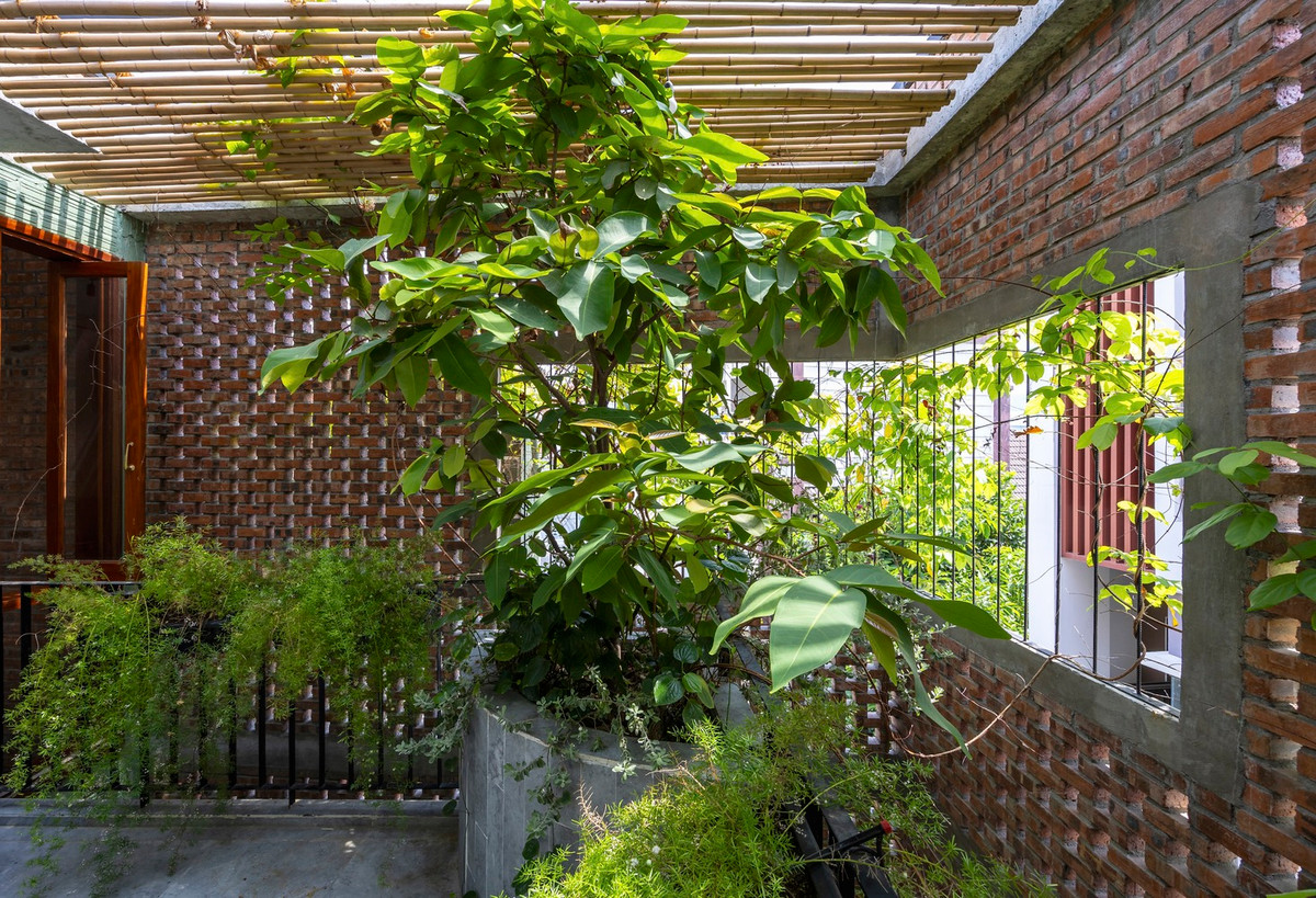 Cây xanh như một yếu tố không thiếu trong ngôi nhà. Nguồn ảnh: Triệu Chiến