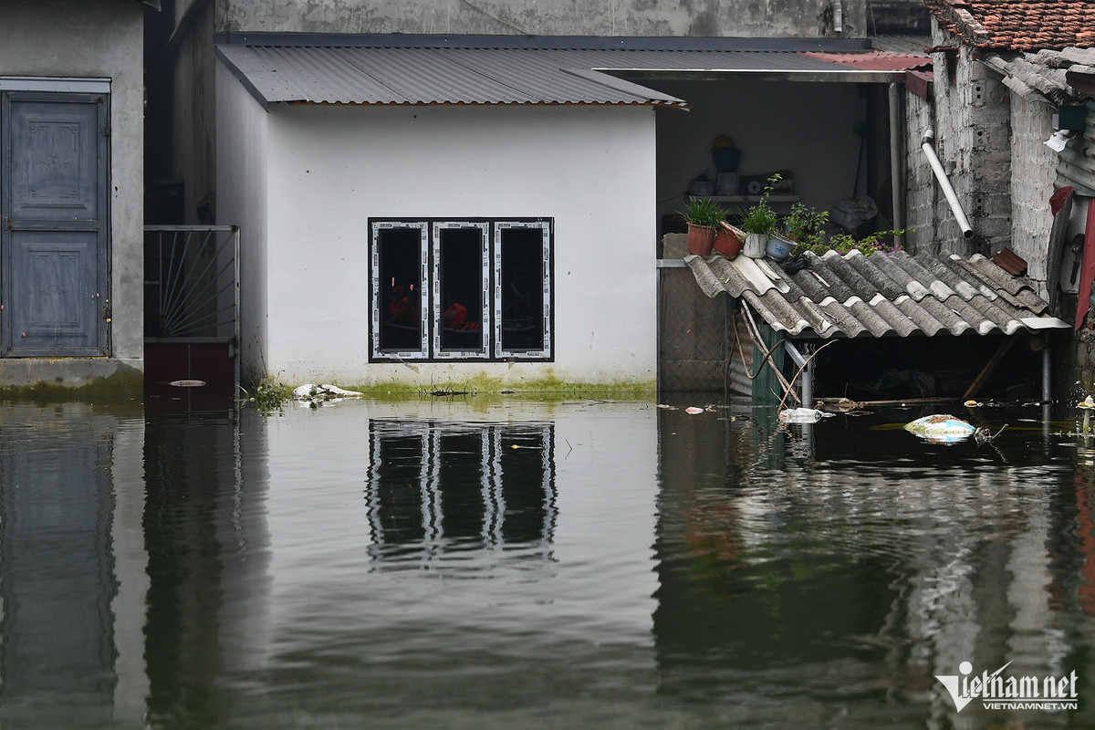 Anh Bùi Ngọc Bình, Trưởng thôn Nam Hài cho biết, cho đến ngày 19/9 vẫn có 325 hộ bị ngập và toàn bộ thành viên các gia đình này phải đi sơ tán ở nơi khác theo chủ trương của huyện.