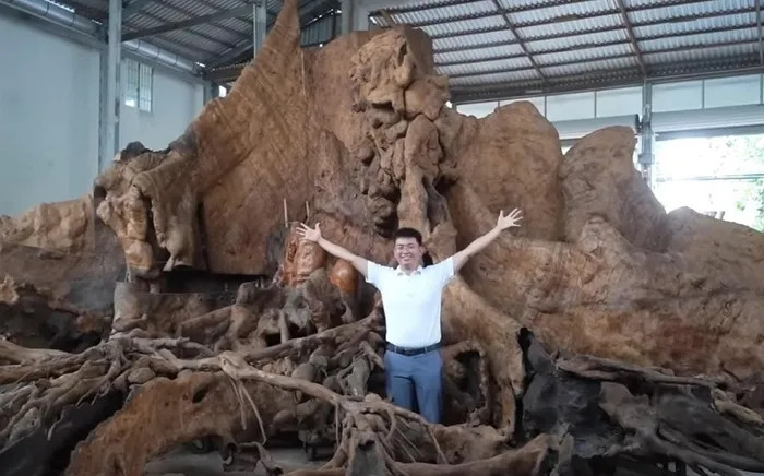 Ông Chiến cho biết sẽ bán gốc cây này với giá 30 tỷ đồng, trong đó, ông sẽ trích ra một phần làm từ thiện, giúp đỡ những người dân gặp khó khăn trong vùng. Nguồn ảnh: chụp màn hình