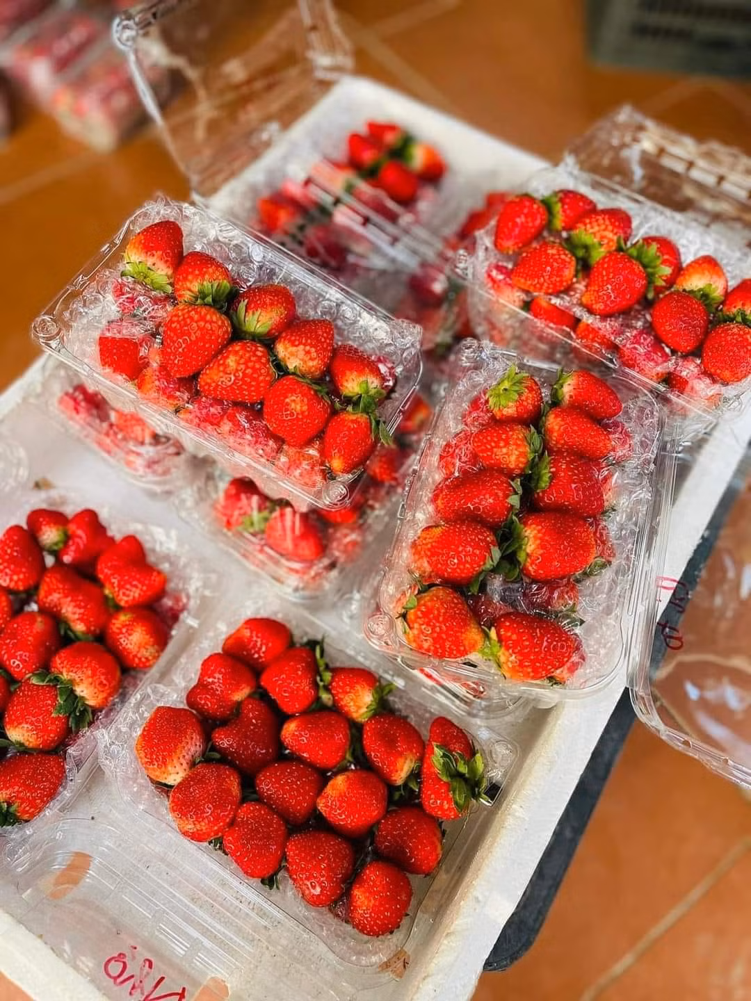 Dâu tây Mộc Châu thường đóng vào hộp nhựa, có lót nilon nổ chống sốc. Ảnh: Facebook