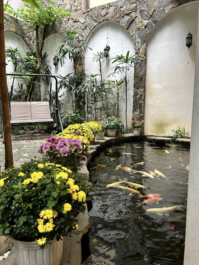 Đàn cá tung tăng bơi lội thêm phần nhộn nhịp.