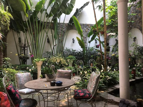 Căn nhà của NTK Đức Hùng rộng hơn 300m2, có khoảng sân vườn rộng rãi, được bao phủ bởi nhiều cây xanh.