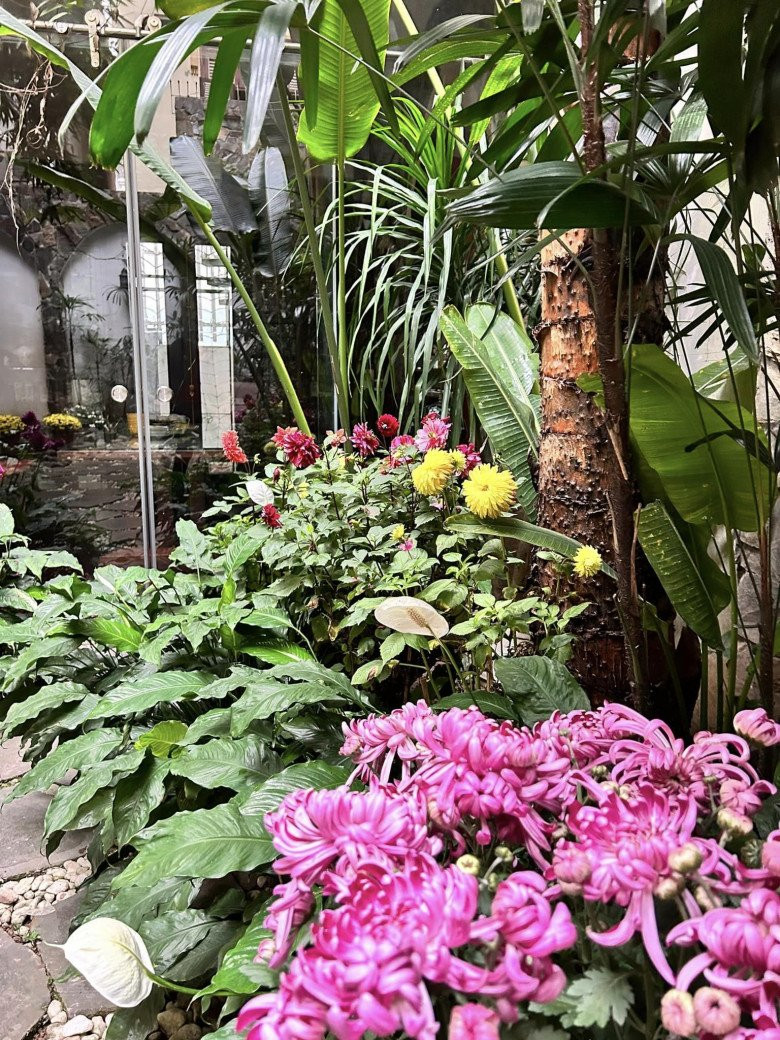 Hoa lá đan xen tạo khung cảnh thơ mộng.