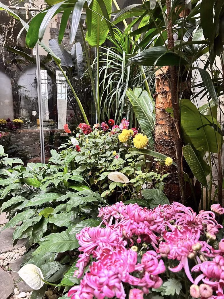 Hoa lá đan xen tạo khung cảnh thơ mộng.