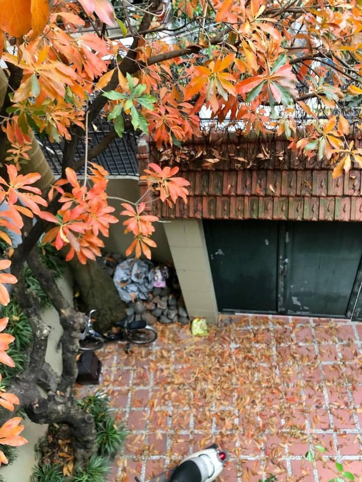 Nhiều người nổi tiếng từng ghé thăm và trầm trồ trước không gian rộng đẹp, nên thơ trong cơ ngơi của nghệ sĩ Đức Hùng. 