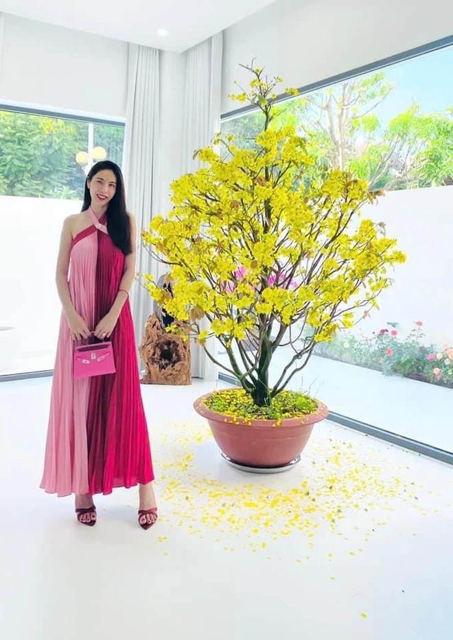 Dịp Tết, Thủy Tiên - Công Vinh trưng một chậu mai lớn trong nhà. Nguồn ảnh: FBNV