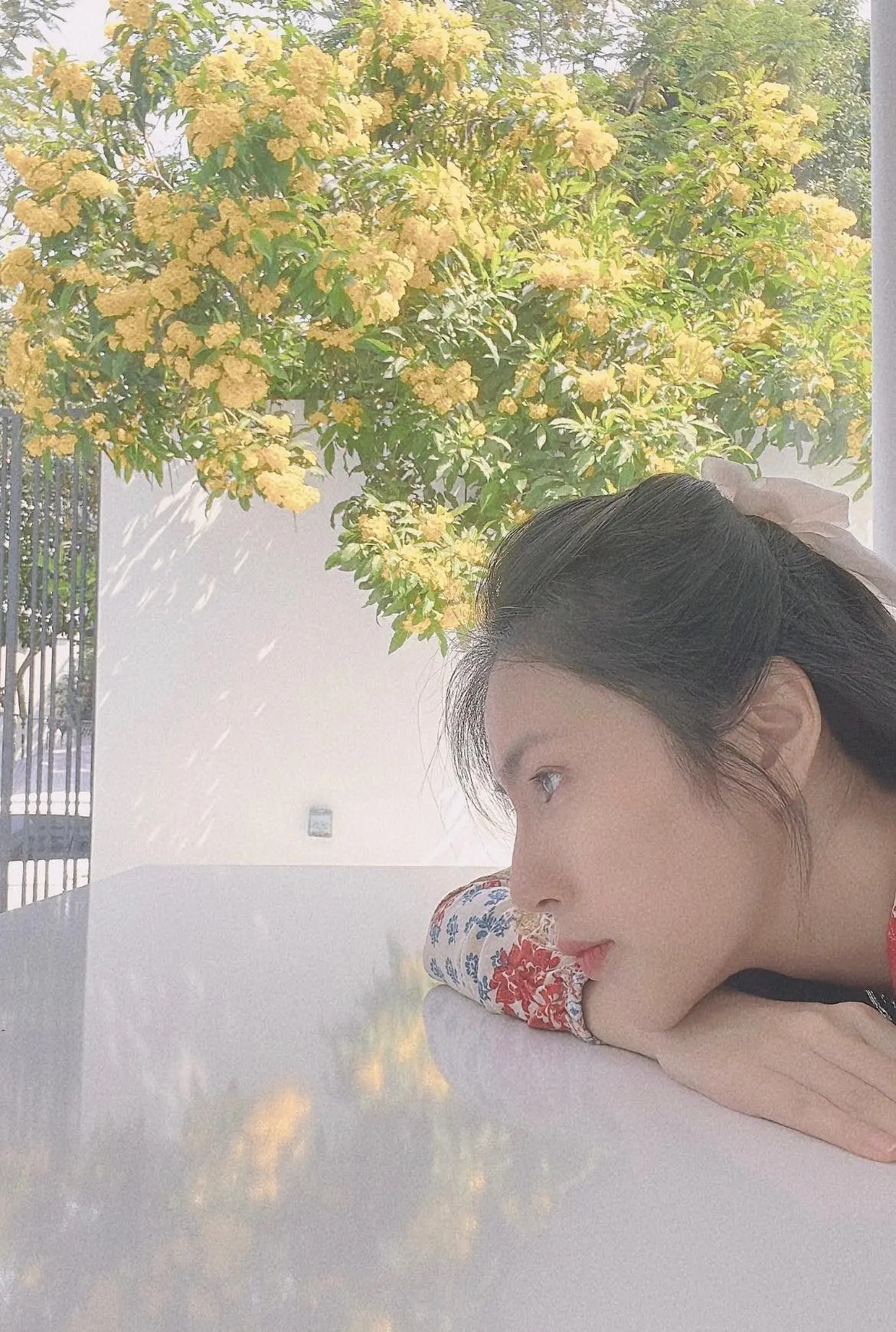 Xung quanh biệt thự là không gian sân vườn cực kỳ rộng rãi như công viên thu nhỏ.