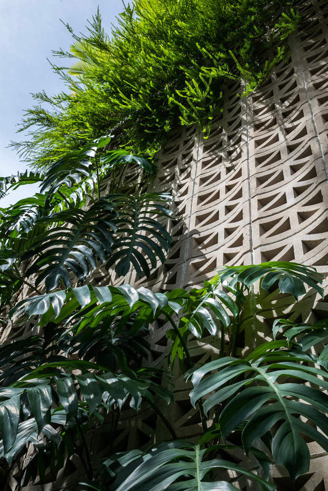 Cây xanh và dây leo phủ kín, tạo cảm giác gần gũi với thiên nhiên. Ảnh: Hiroyuki Oki