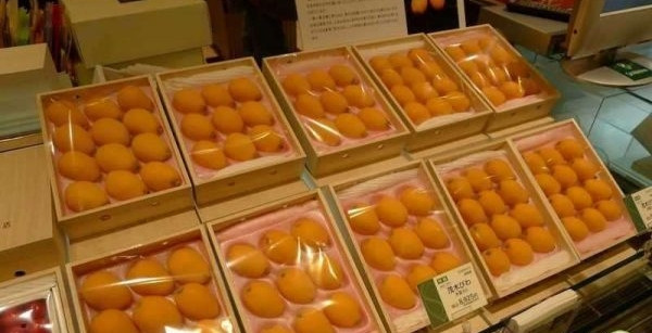 Một phần là do chi phí vận chuyển đường dài, phần vì người bán thường “thần thánh hóa” công dụng hoặc đồn thổi về độ độc lạ của mặt hàng để thu hút khách. Ảnh: Nhà Tấm Food