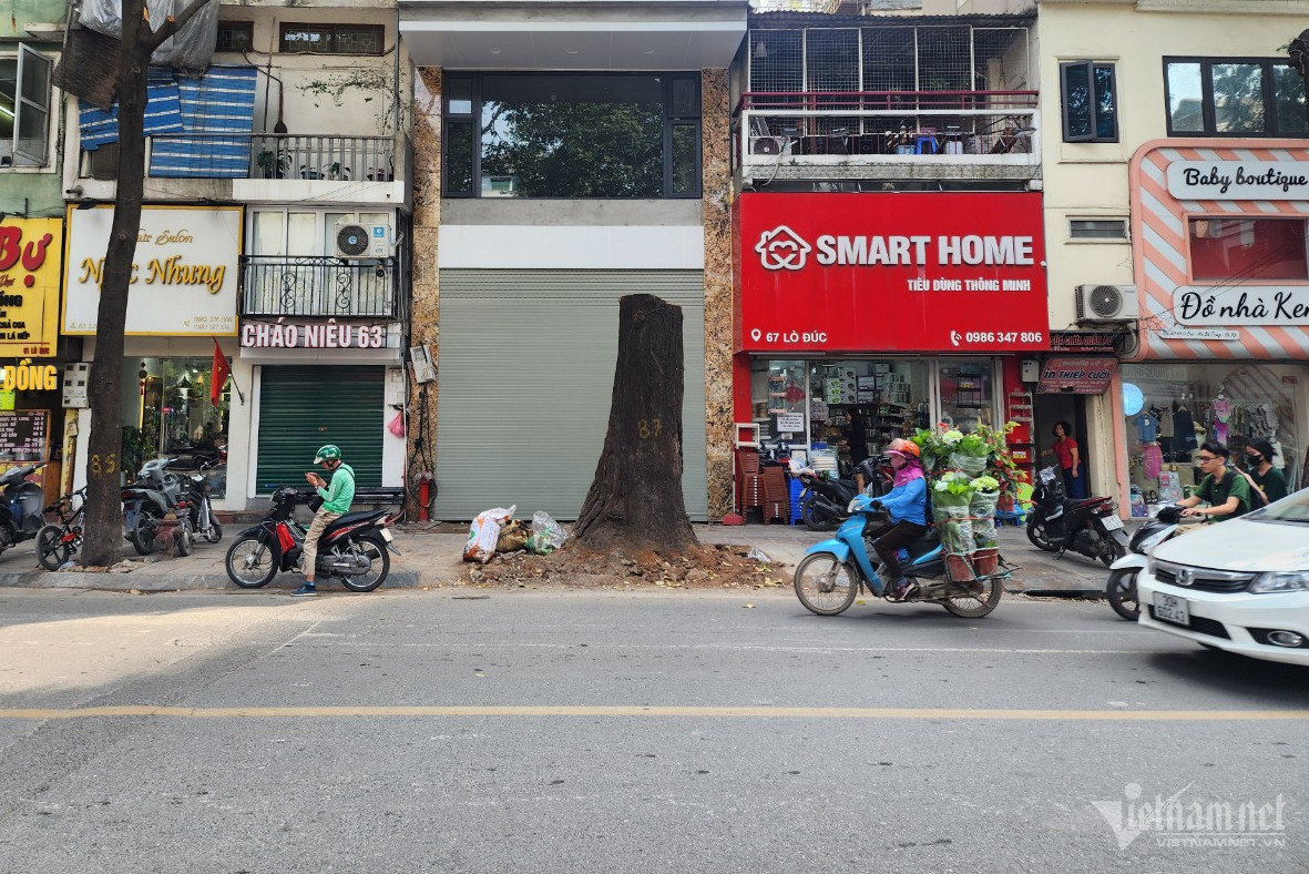 Nhung nghi van quanh vu 3 cay sao den chet truoc nha moi xay-Hinh-2