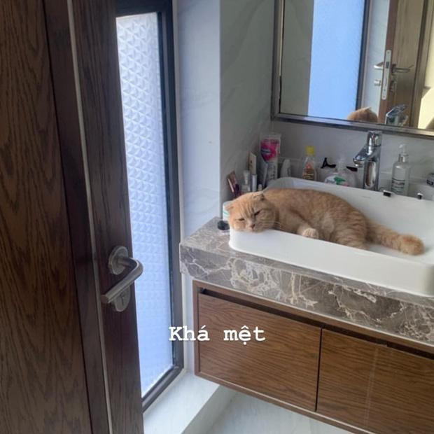 Không gian phòng tắm cũng khá đơn giản.