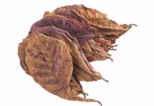 Trong khi đó, lá bàng khô có giá từ 70.000-160.000 đồng/kg hoặc 1.000 đồng/2 lá trên các trang thương mại điện tử. Ảnh: Shopee