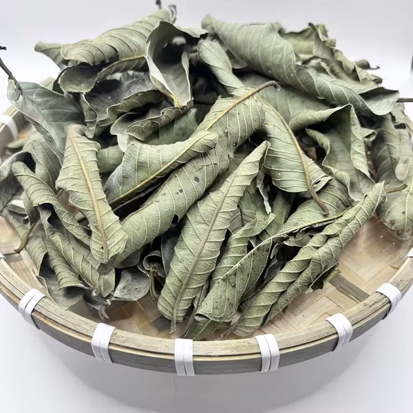 Tương tự, người dân thường chỉ thu hoạch quả ổi còn lá ổi rụng đầy vườn. Nhưng hiện nay, lá ổi khô bất ngờ được rao bán từ 65.000-90.000 đồng/kg. Ảnh chụp màn hình