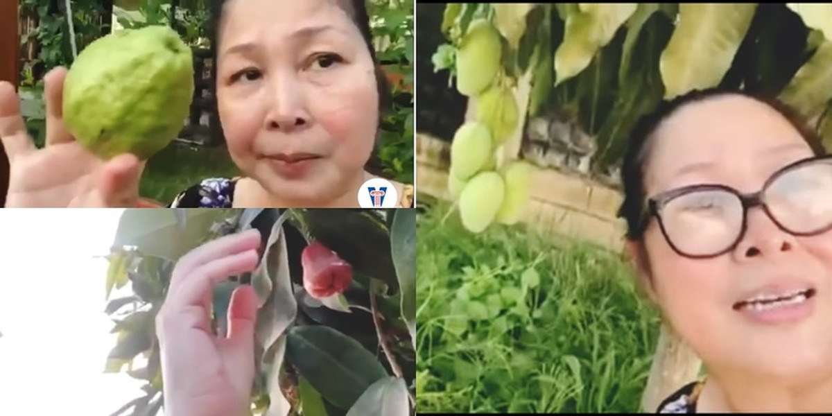 Gia trang có nhiều loại cây ăn quả như mít, cóc, khế, sung, mận... cây nào cũng sai quả. Ảnh chụp màn hình