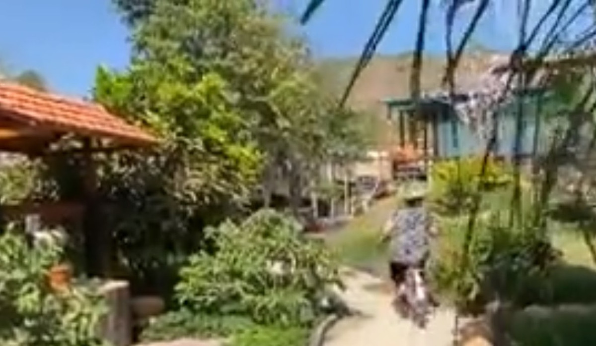 Không gian sân vườn rộng rãi, đẹp mê hoặc bởi thiên nhiên, cây cỏ xanh mát. Ảnh chụp màn hình