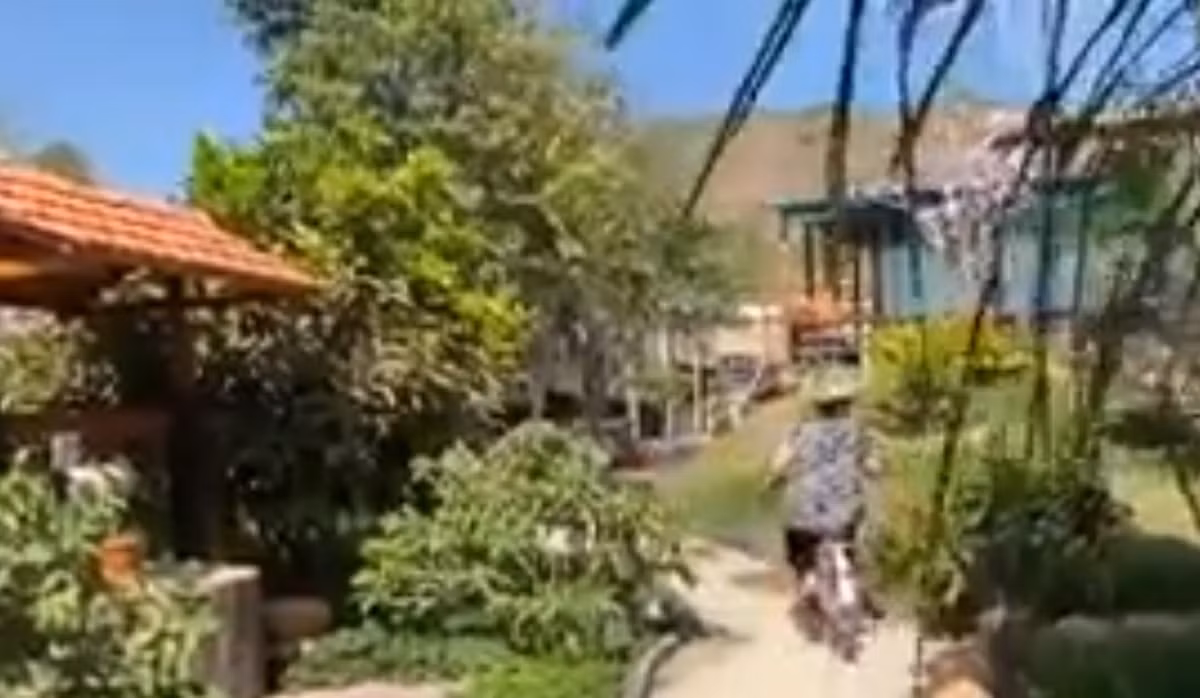 Không gian sân vườn rộng rãi, đẹp mê hoặc bởi thiên nhiên, cây cỏ xanh mát. Ảnh chụp màn hình