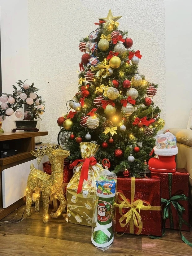 Cây thông xinh xắn không kém phần rực rỡ đặt trong một góc nhỏ của phòng khách và trang trí bằng nhiều quả châu màu vàng - đỏ - bạc lấp lánh.