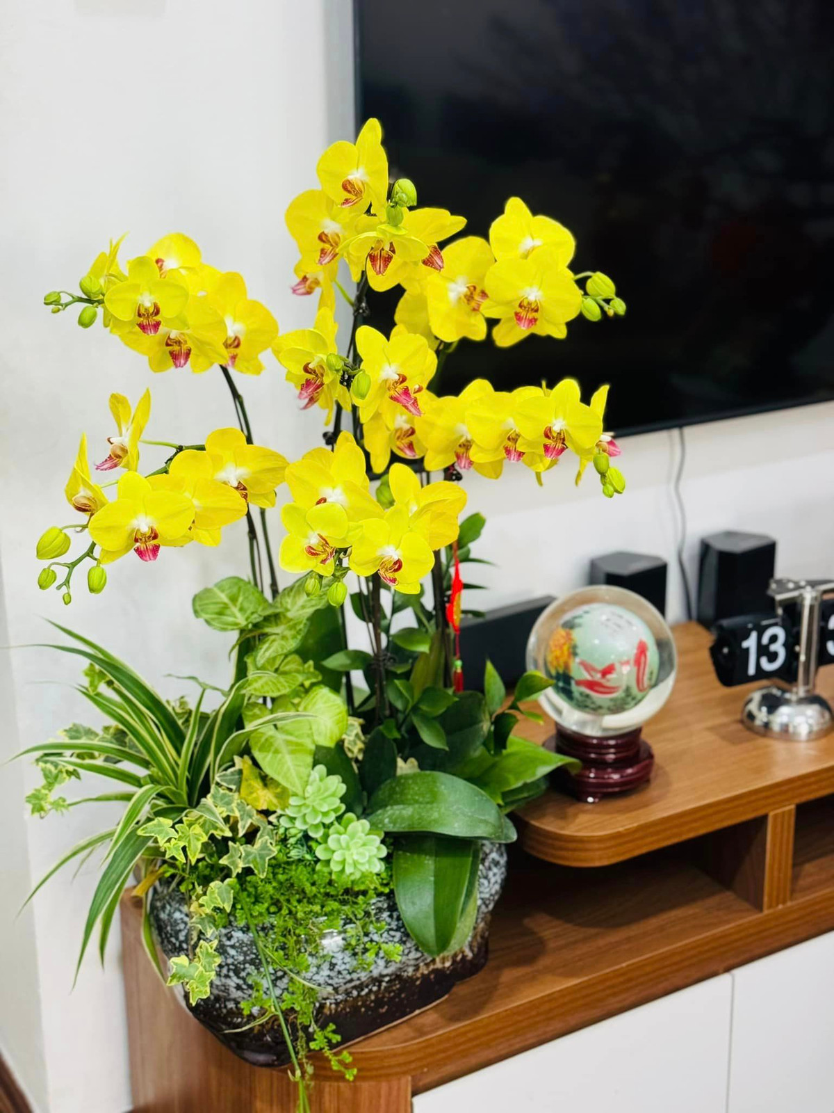 Ngoài ra còn có chậu lan hồ điệp vàng mang thông điệp may mắn.