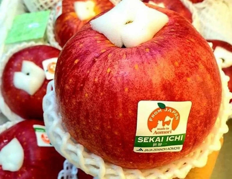 Tuy nhiên, táo Sekai-Ichi chỉ có thể được trồng với số lượng nhỏ. Do sự khan hiếm mà táo Sekai-Ichi có giá hơn 500.000 đồng mỗi trái. Ảnh: Dân Việt