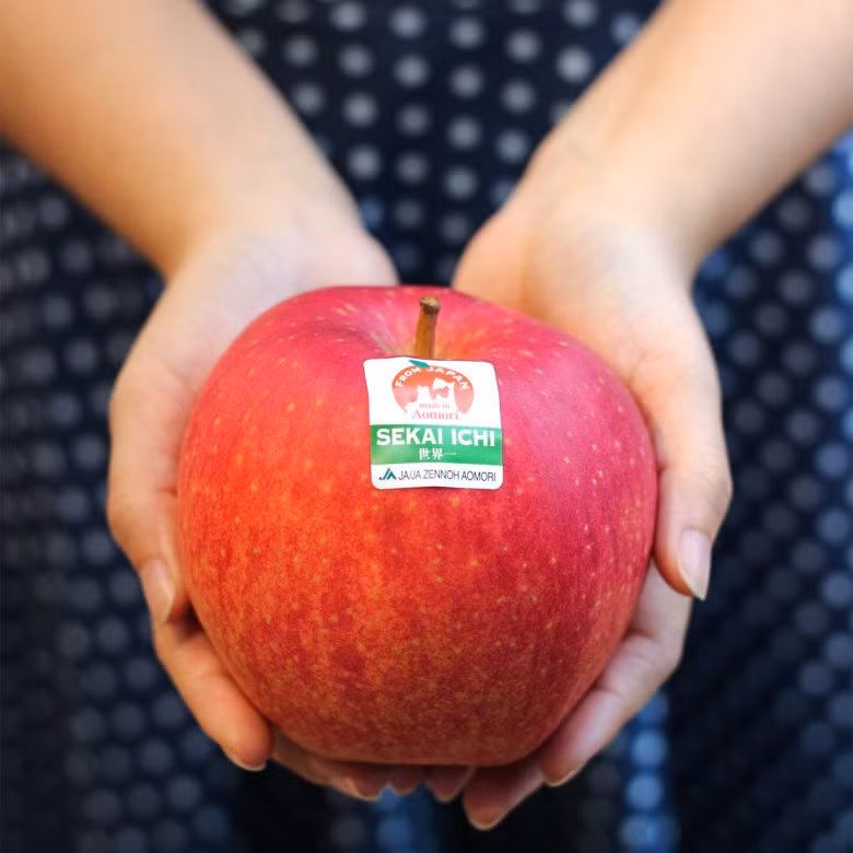 Sekai-Ichi cũng là một trong những loại táo có kích cỡ lớn nhất khi nặng gần 1kg/trái, chu vi từ 30 - 46 cm. Ảnh: Japantimes