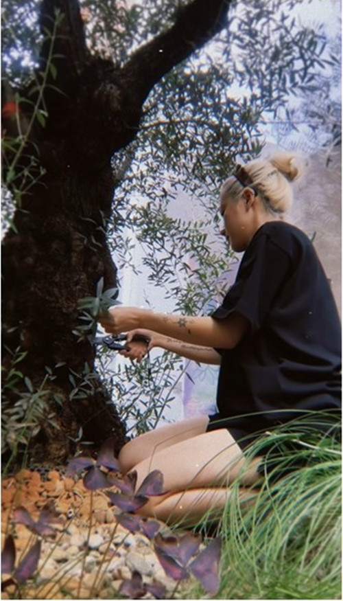 Mới đây, nữ ca sĩ chia sẻ khoảnh khắc chăm sóc cây trong vườn nhà thu hút sự chú ý của mọi người. Đặc biệt trong vườn có cụ cây gần 200 tuổi