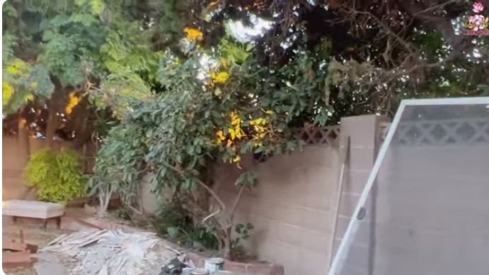 Ngoài vườn trước, ngôi nhà còn có cả khu vườn rộng phía sau, tổng diện tích ước chừng gần nghìn mét vuông.