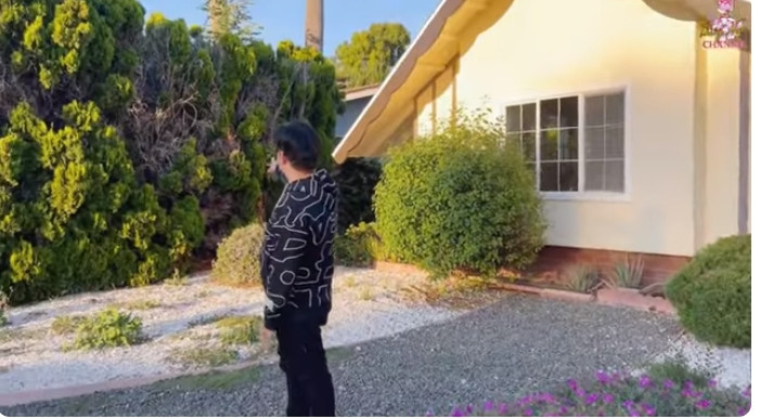 Xung quanh ngôi nhà là cây cối mọc xum xuê.