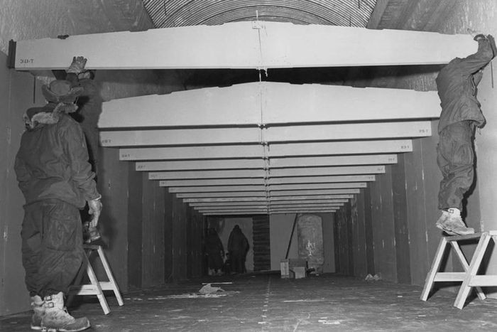 CIA còn khét tiếng với vai trò lật đổ các nhà lãnh đạo nước ngoài. Trong đó, từ năm 1961 đến năm 1963, chiến dịch Mongoose liên tục được thực hiện âm mưu sát hại nhà lãnh đạo Cuba Fidel Castro nhưng bất thành.