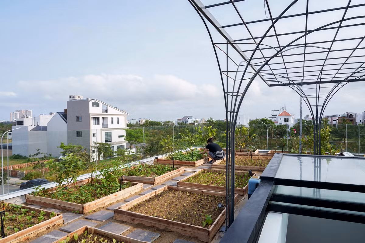 Thứ hai là tận dụng tối đa diện tích để có thể trồng rau hữu cơ cung cấp cho gia đình. Thứ ba là gải quyết vấn đề tài nguyên năng lượng và nước.