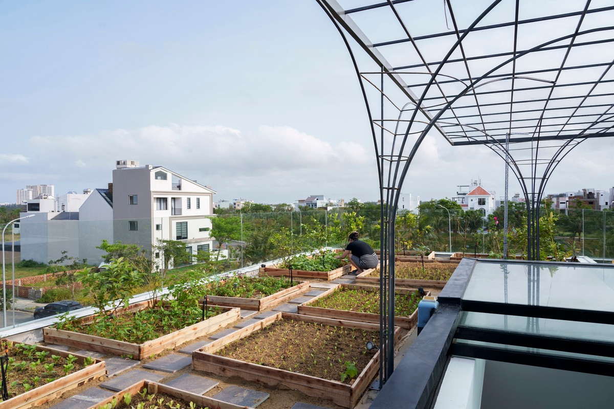 Thứ hai là tận dụng tối đa diện tích để có thể trồng rau hữu cơ cung cấp cho gia đình. Thứ ba là gải quyết vấn đề tài nguyên năng lượng và nước.