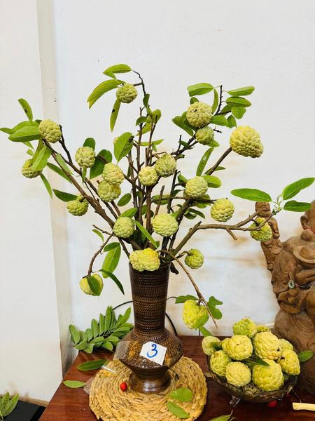 Bên cạnh đó, cành quả na cắm bình đang được hội chị em rầm rộ chia sẻ. Ảnh: FB Sple Nguyet