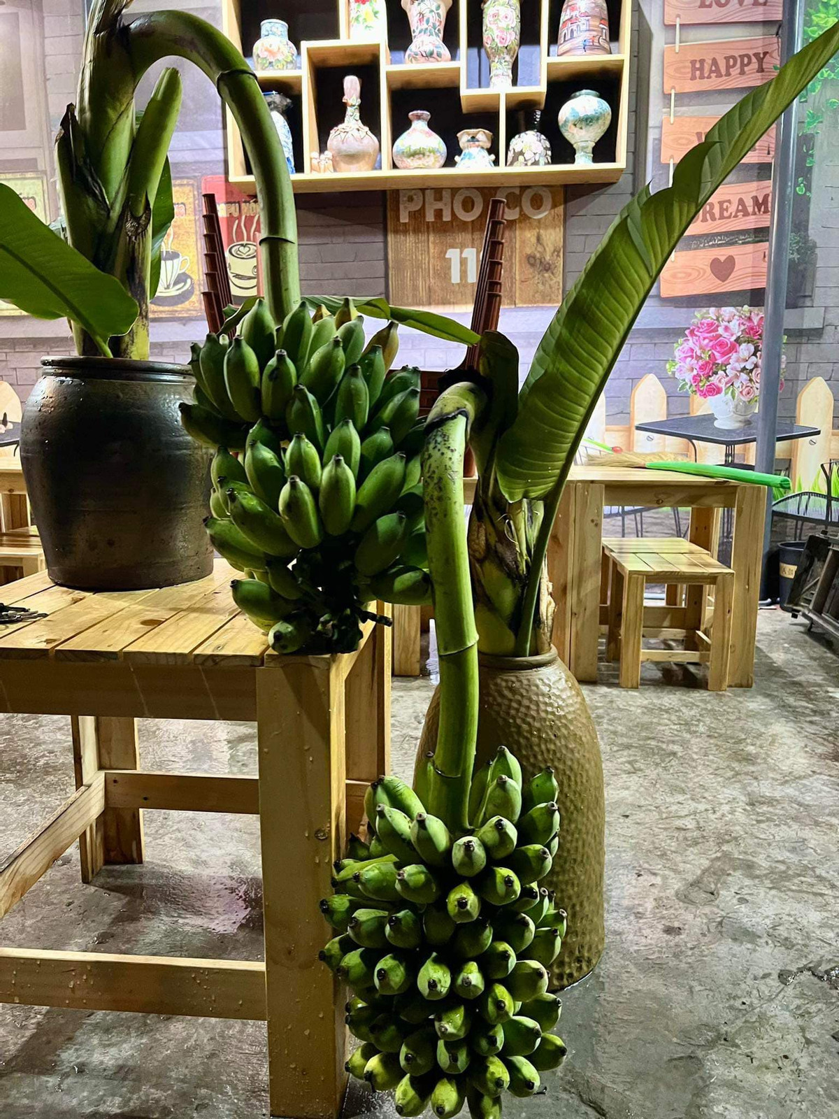 Mỗi buồng chuối cắm bình có giá khoảng 150.000 đồng. Mỗi set một buồng chuối và một hoa chuối khoảng 200.000 đồng.