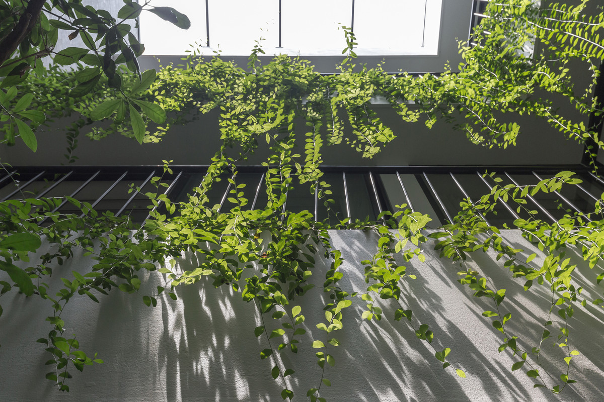 Mặt tiền nhà chủ yếu nghiêng về hướng Đông, giúp ngôi nhà mát hơn vào mùa hè và ấm áp hơn vào mùa đông.