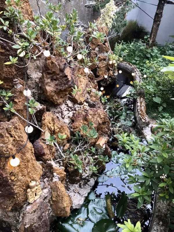 Sân vườn nhà ca sĩ Vy Oanh còn có chòi nghỉ, hòn non bộ thiết kế đẹp mắt.