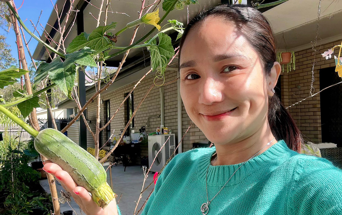 Ngoài cây ăn quả, khu vườn của MC Cát Tường còn có nhiều loại rau phục vụ bữa ăn gia đình như bầu, bí, mướp, dưa leo, rau cải... Ảnh: FBNV