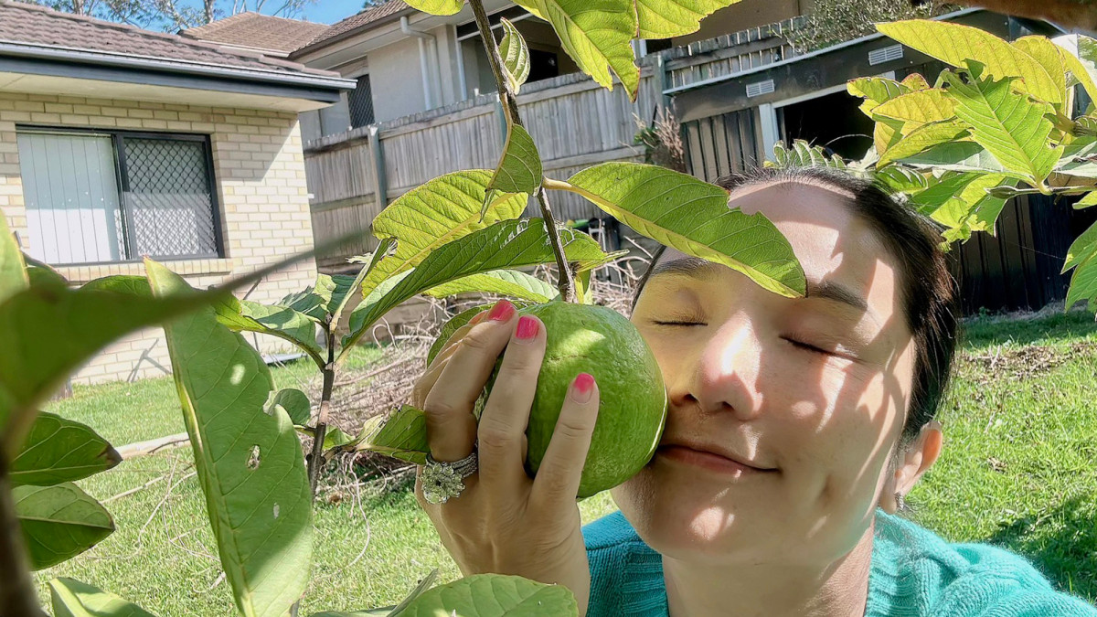 Tại Australia, MC Cát Tường sở hữu căn nhà rộng rãi với vườn cây sai trĩu quả. Ảnh: FBNV