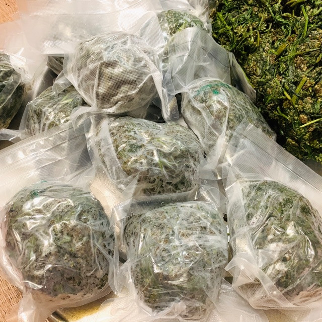 Trên các sàn thương mại điện tử, rau khúc được bán ở dạng trữ đông, đóng gói hút chân không, 100gr lá khúc có giá từ 45.000 - 50.000 đồng, tức 500.000 đồng/kg. Ảnh: Shopee