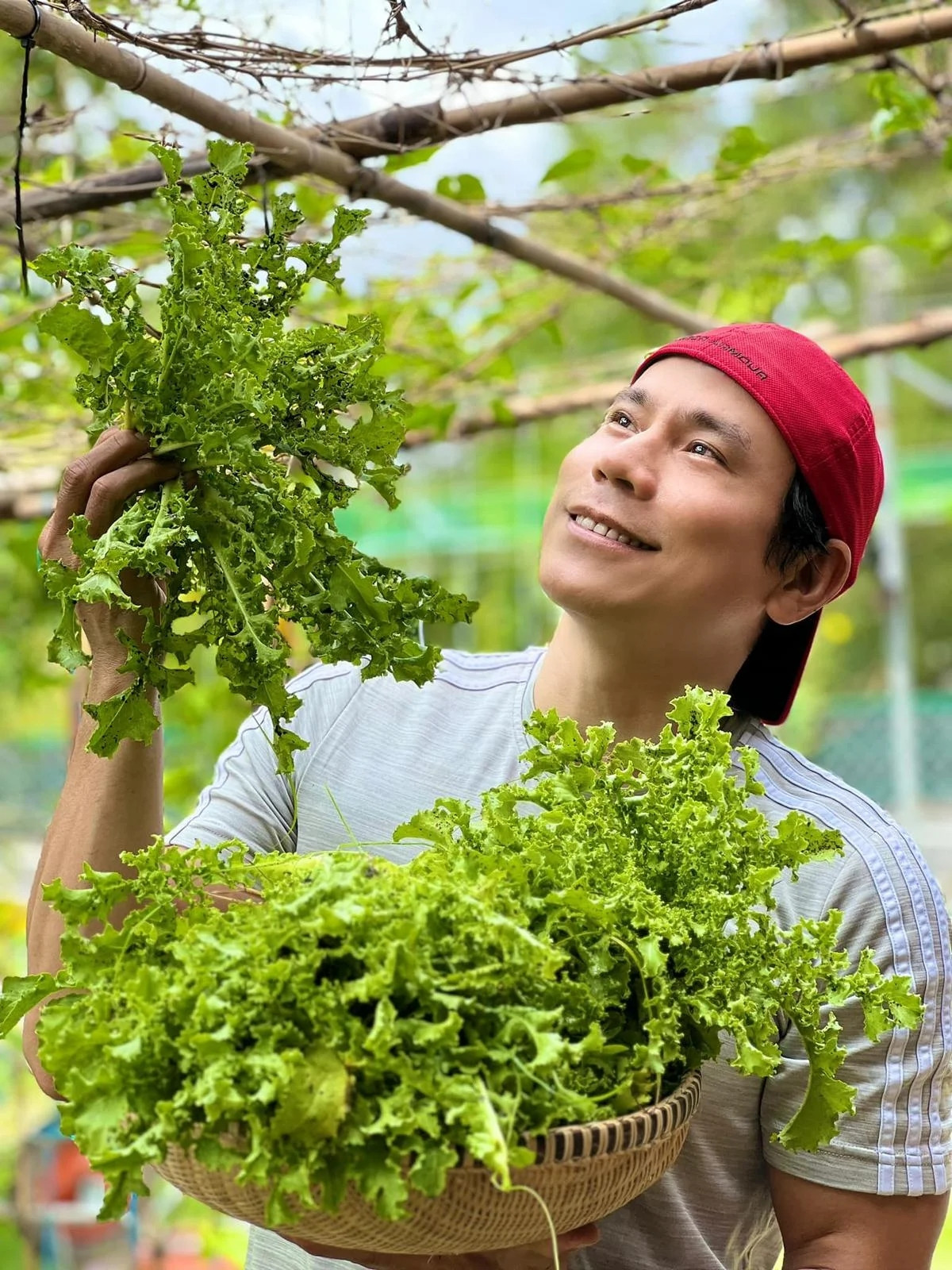 Ngoài cây ăn quả, Trí Quang còn trồng các loại rau xanh như mồng tơi, rau cải, rau muống, xà lách xoăn...Ảnh; FBNV