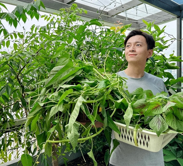 Nam ca sĩ khoe thu hoạch rau xanh trên sân thượng.
