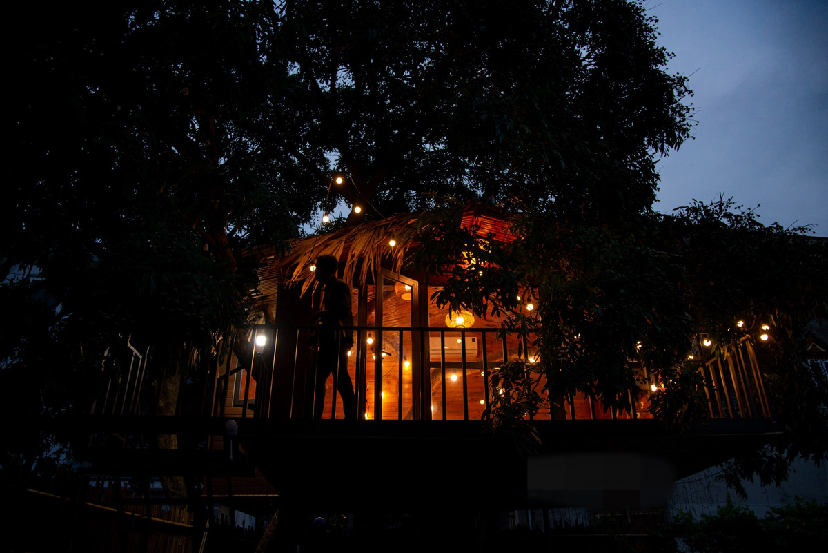 Vì thế, độ an toàn của ngồi nhà được đảm bảo, cây nhãn cũng không bị ảnh hưởng. Ảnh: Dân Việt