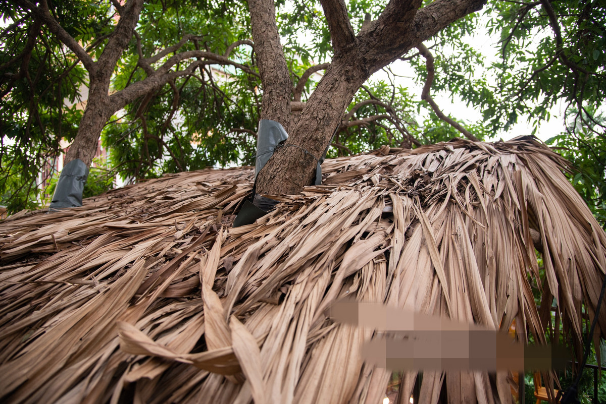 Lớp lá cọ bên trên mái nhà, giúp tránh mưa gió đồng thời làm cho căn nhà hài hòa với thiên nhiên hơn. Ảnh; Dân Việt