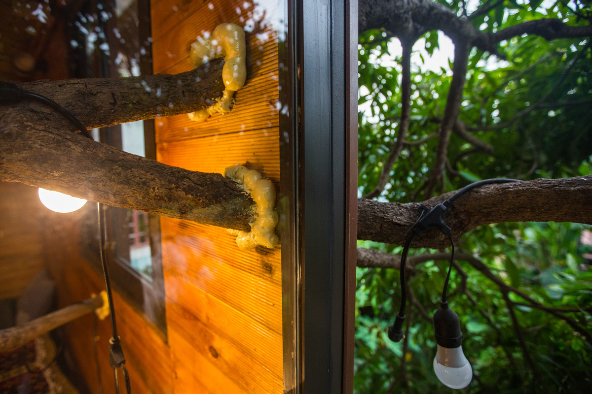 Chỗ cành cây đâm qua mái và tường được xịt kín bọt xốp ngăn côn trùng vào nhà, đồng thời giảm bớt ảnh hưởng rung lắc của cây nhãn trong mùa mưa bão. Ảnh: Vietnamnet