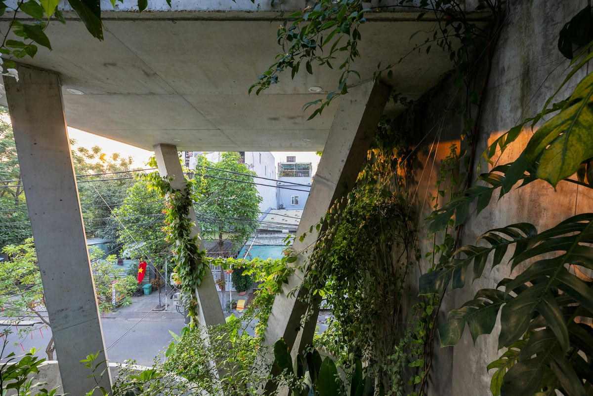 Khu vực còn lại được biến thành một khu vườn nhiều tầng tươi tốt, trên đó một khối nhà được bố trí cẩn thận, gợi lên ảo giác về một ngôi nhà nổi.