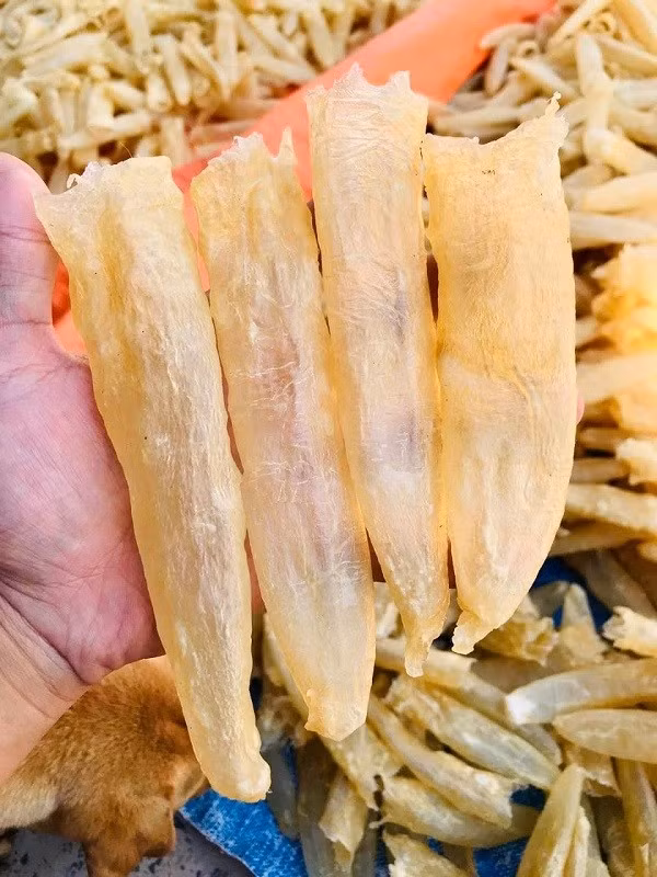 Gia bong bong ca tang cao