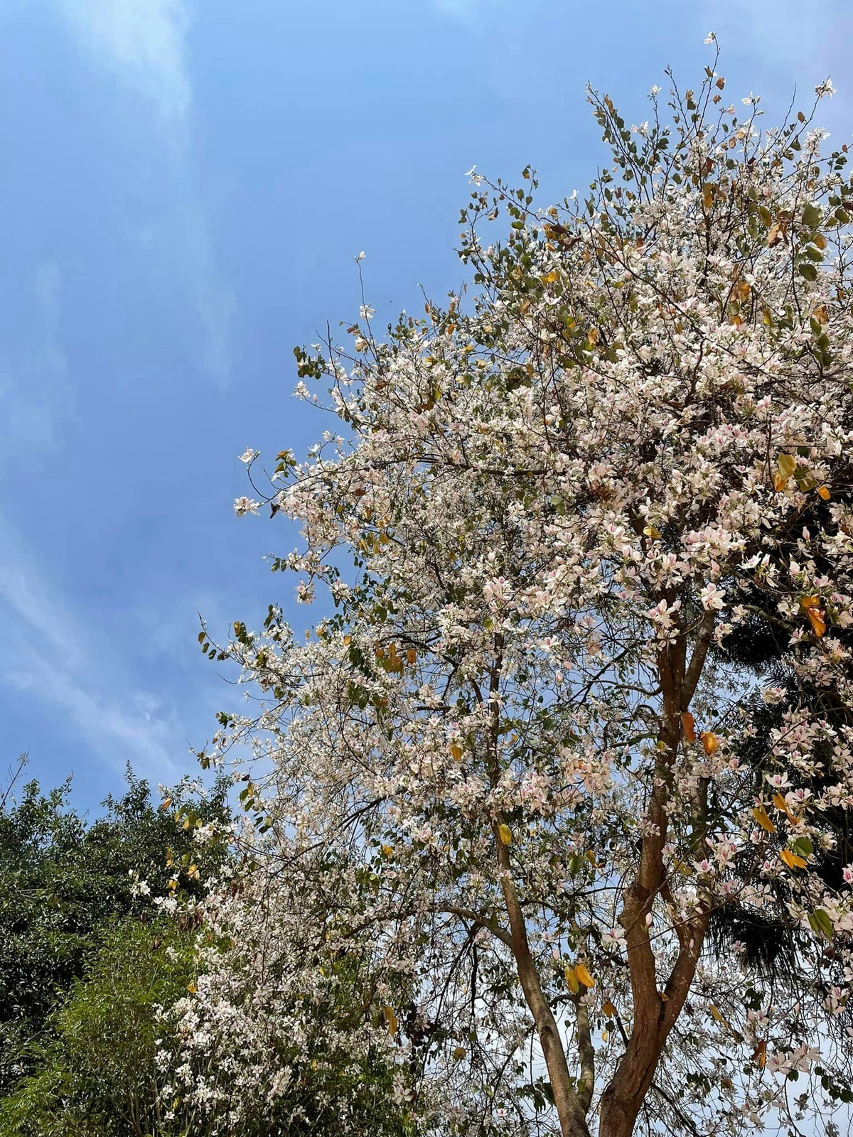 Den manh dat hao hung Dien Bien song lai nhung phut giay lich su