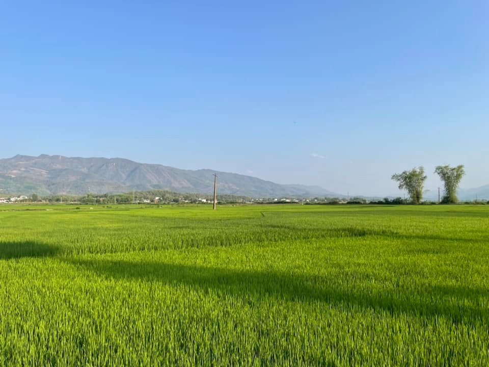 Den manh dat hao hung Dien Bien song lai nhung phut giay lich su-Hinh-11